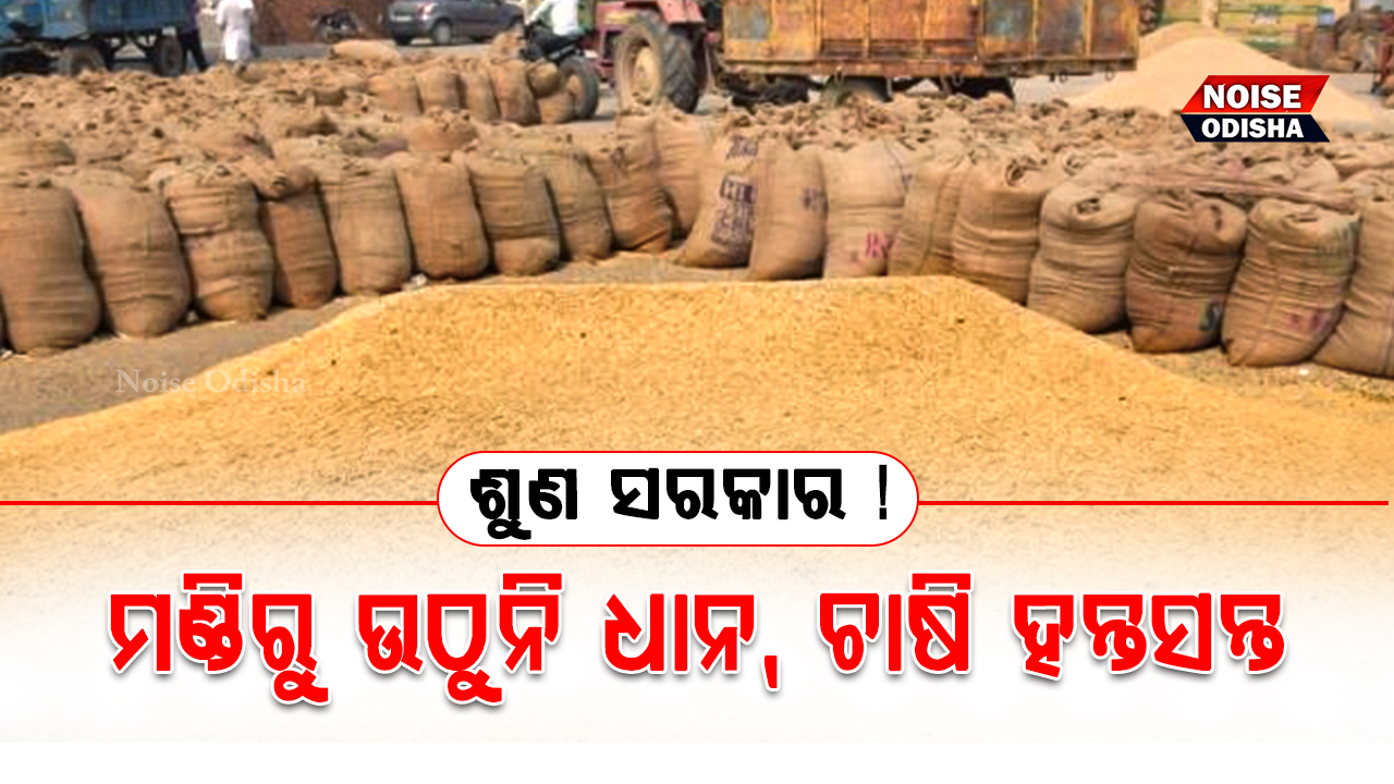 ଶୁଣ ସରକାର ! ମଣ୍ଡିରୁ ଉଠୁନି ଧାନ, ଚାଷୀ ହନ୍ତସନ୍ତ ।