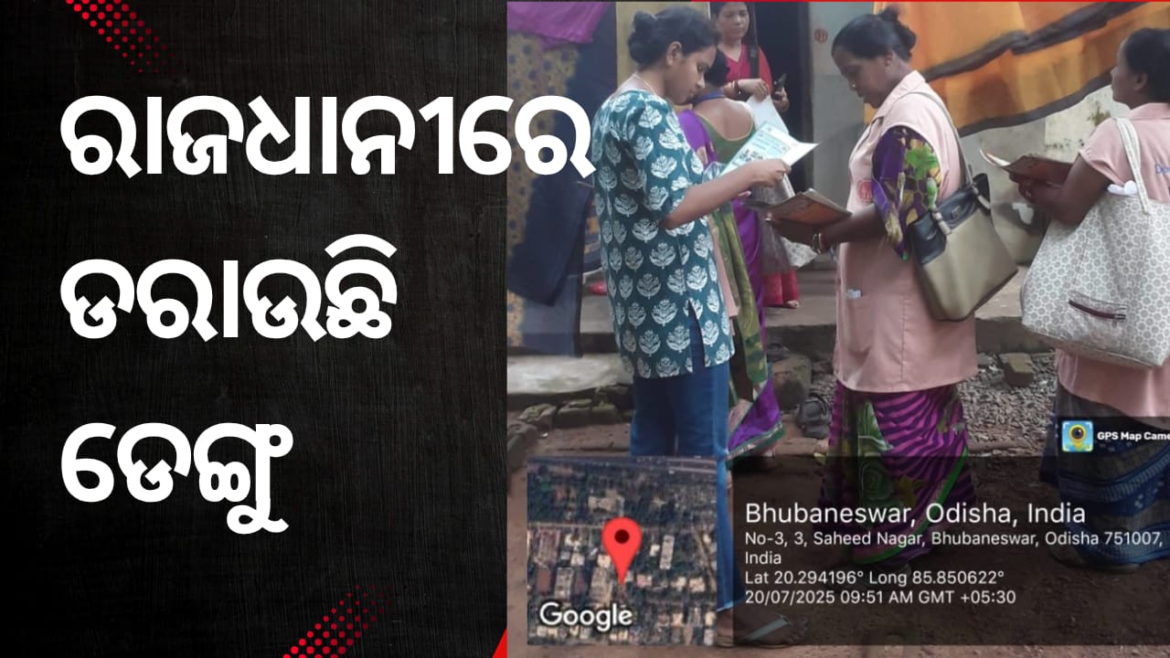 ରାଜଧାନୀରେ ଡରାଉଛି ଡେଙ୍ଗୁ।