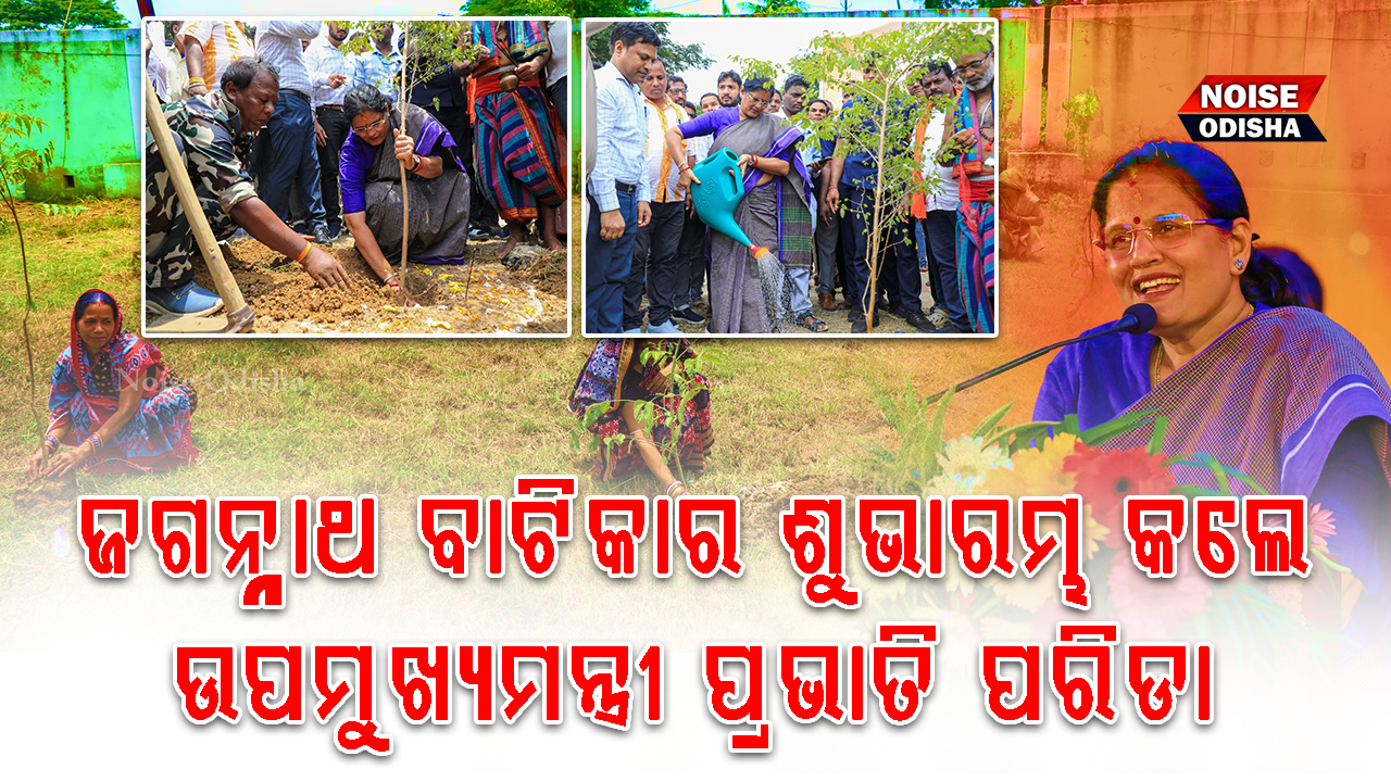 ମହାପ୍ରଭୁଙ୍କ ରଥକାଠ ଏଇଠୁ ଯିବ